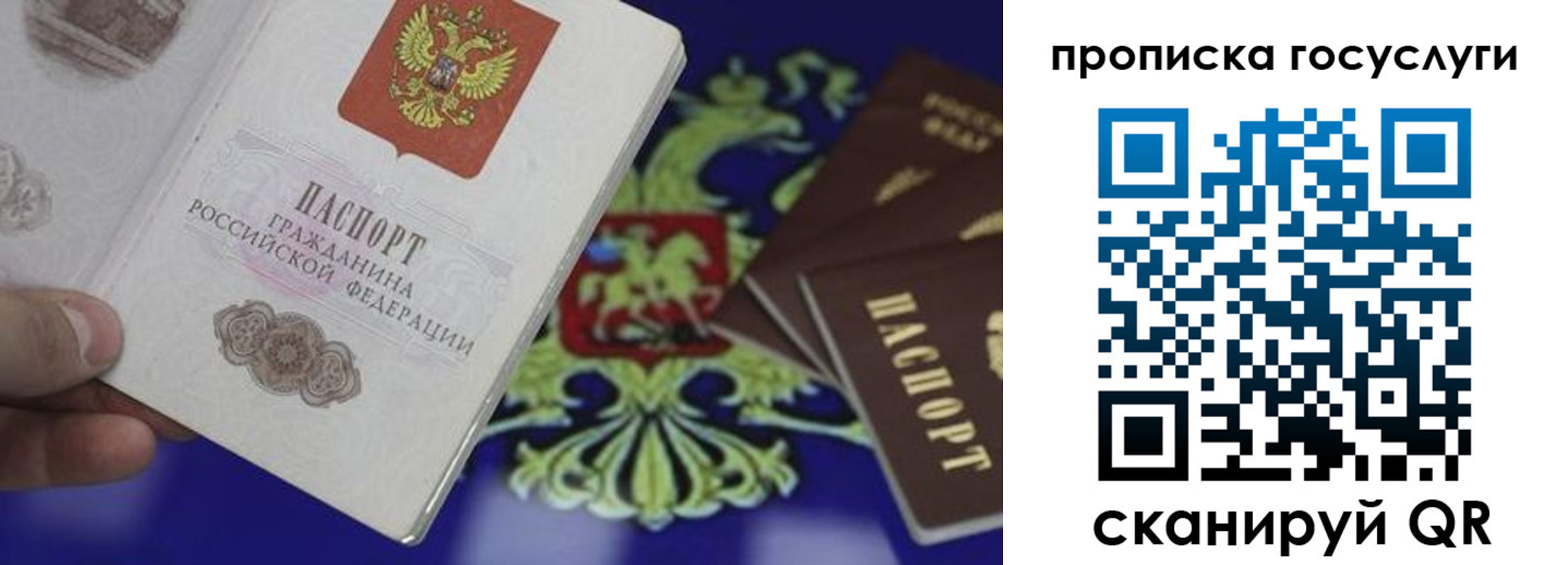 регистрация для школы в Чистополье