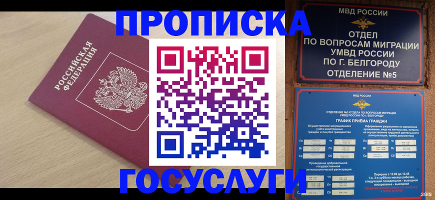 прописка законно в Чистополье